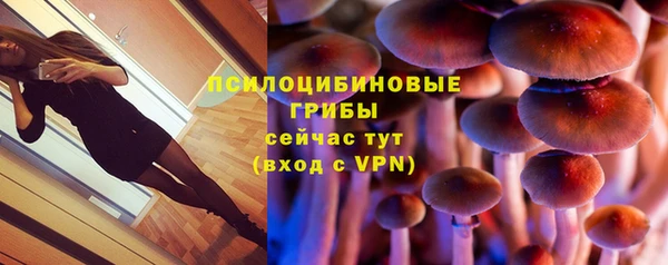 альфа пвп Заволжье