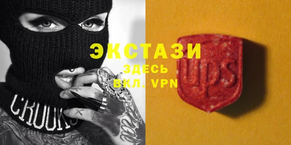 индика Заводоуковск