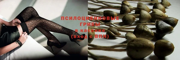 PSILOCYBIN Елабуга