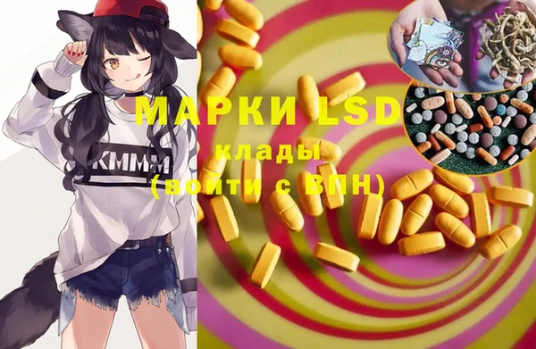 PSILOCYBIN Елабуга
