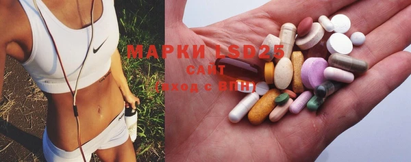 PSILOCYBIN Елабуга
